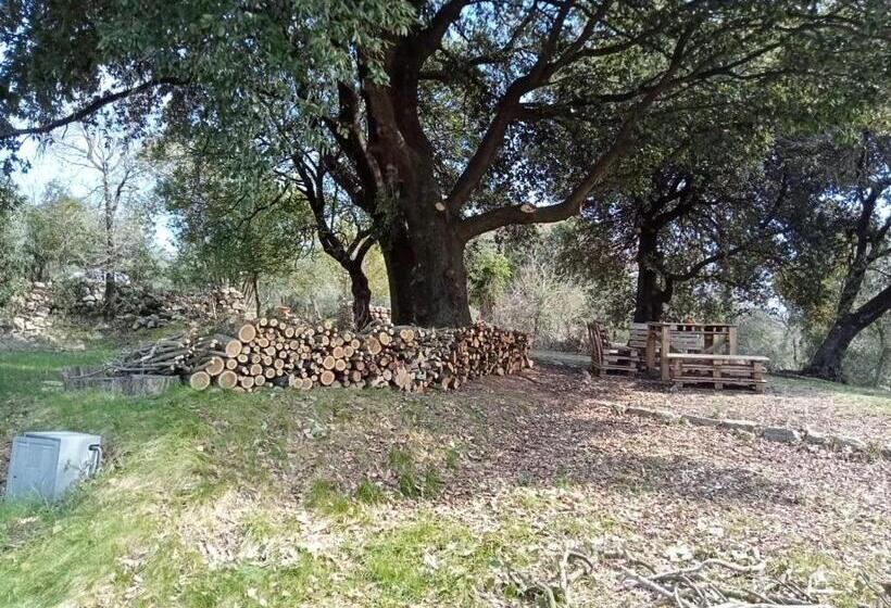 בית מלון כפרי La Capretta Country House