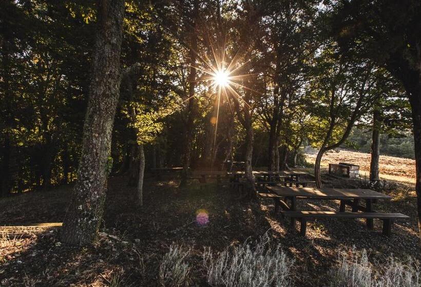 בית מלון כפרי Masseria Del Bosco   Podere Poderuccio