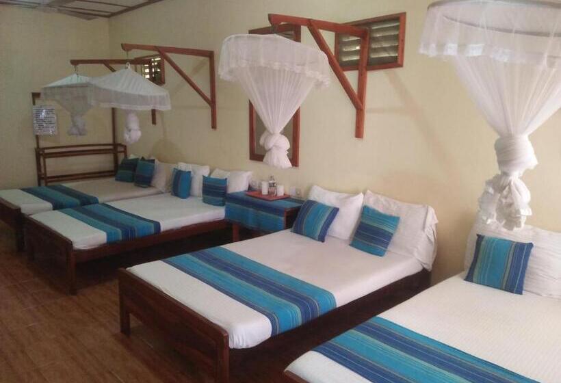 ホテル Mr Tourist