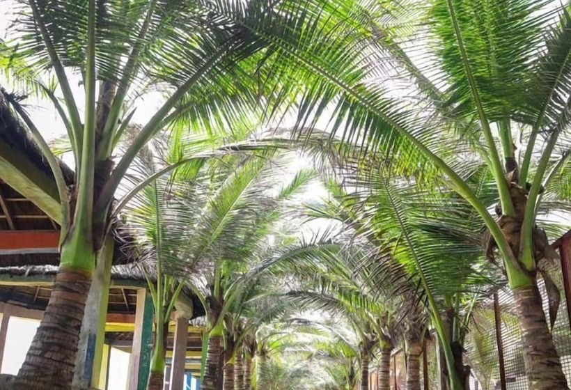 ホテル The Paradise Beach Resort And Apartment