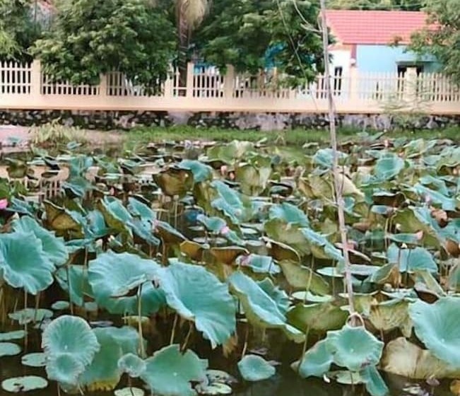 هتل Trang An Elegant Homestay