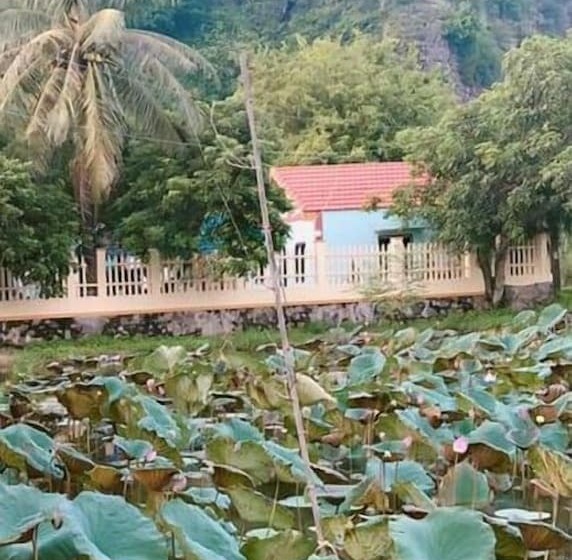 هتل Trang An Elegant Homestay