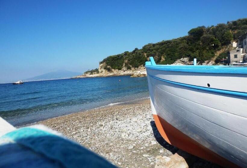 פנסיון Alta Marea Sorrento