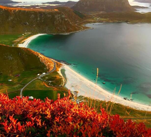 بنسيون Angelas White House