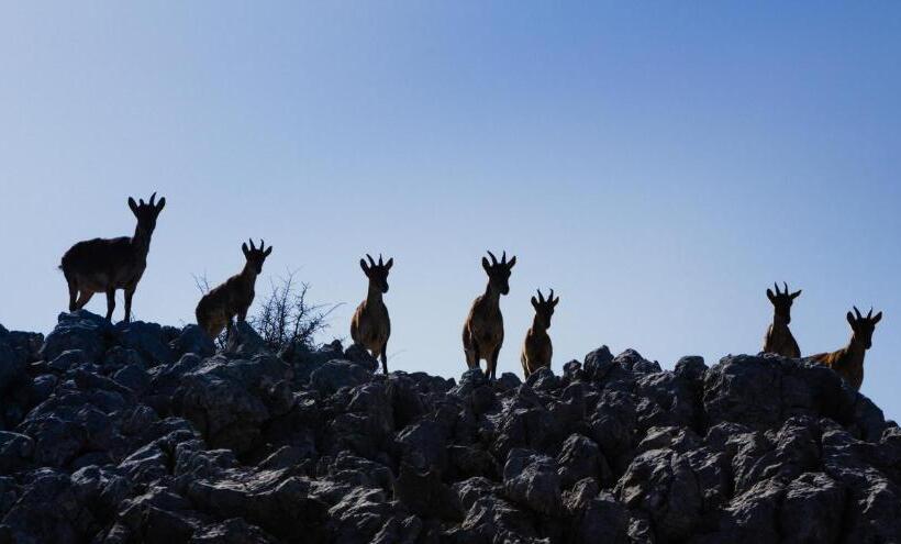 Пансион Casa De Los Cuadros