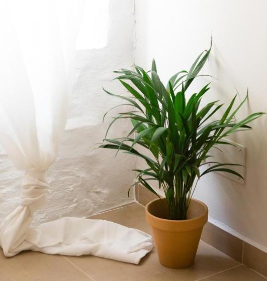 Пансион Casa De Los Cuadros