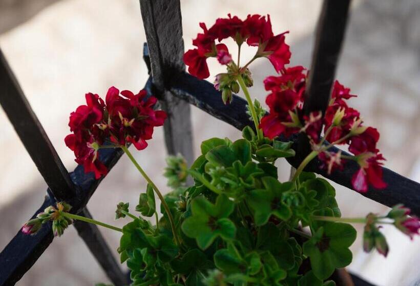 Пансион Casa De Los Cuadros