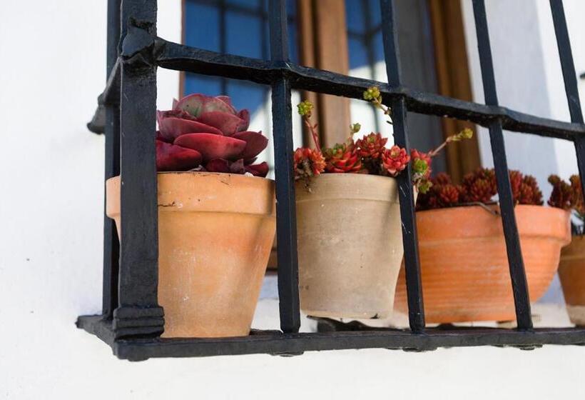 Пансион Casa De Los Cuadros