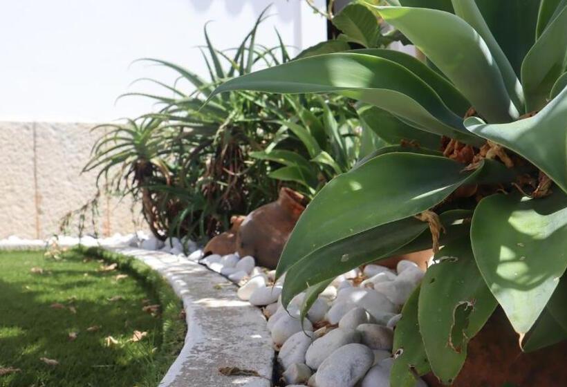 פנסיון Casa Santo António