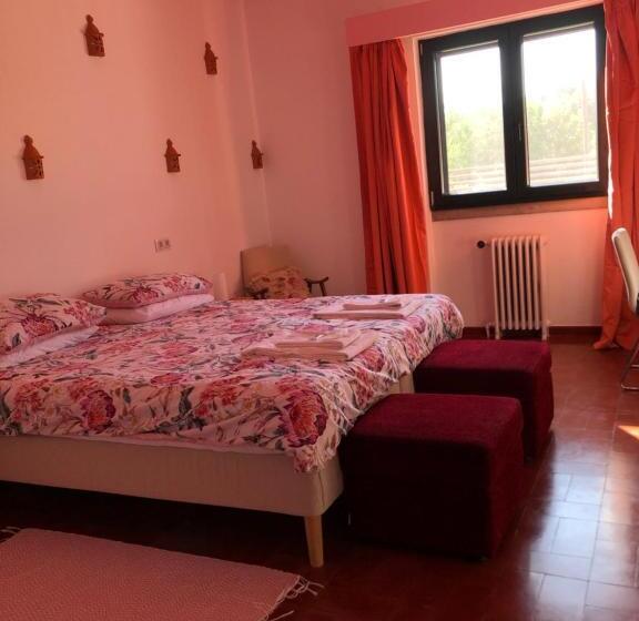 פנסיון Casa Santo António