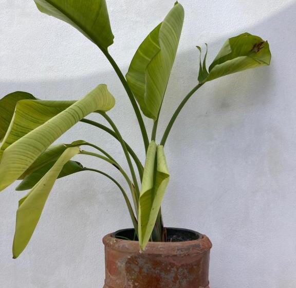 膳宿费 Dimora Delle Tonnare