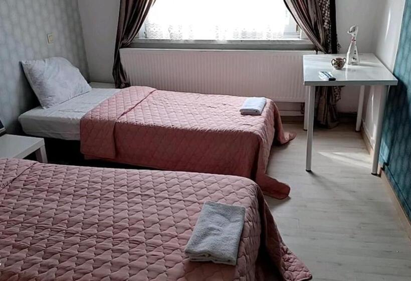 פנסיון Fms Logie