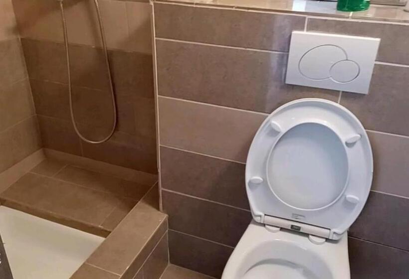 פנסיון Fms Logie