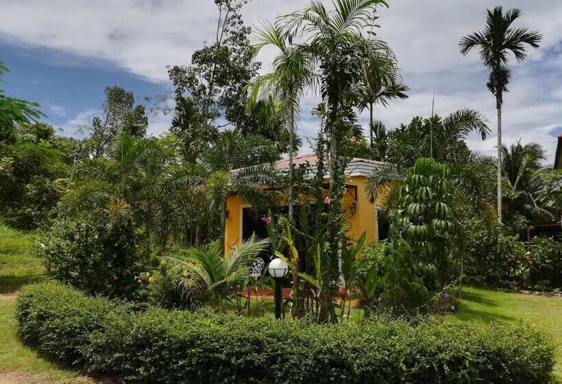 Пансион Green Tree Cottage