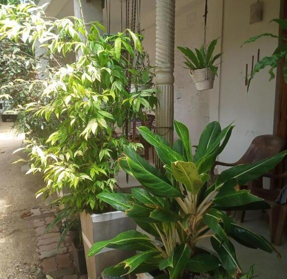 بنسيون Oshee Home