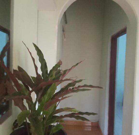 بنسيون Oshee Home