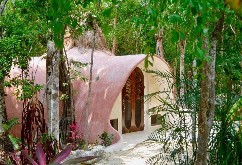 פנסיון Room In Lodge Eco Luxe Mayan Dome Cenote