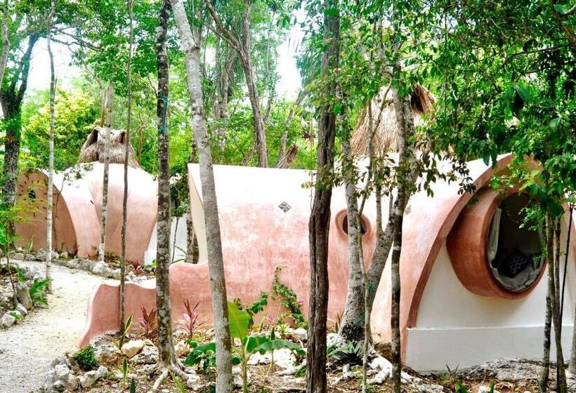 פנסיון Room In Lodge Eco Luxe Mayan Dome Cenote