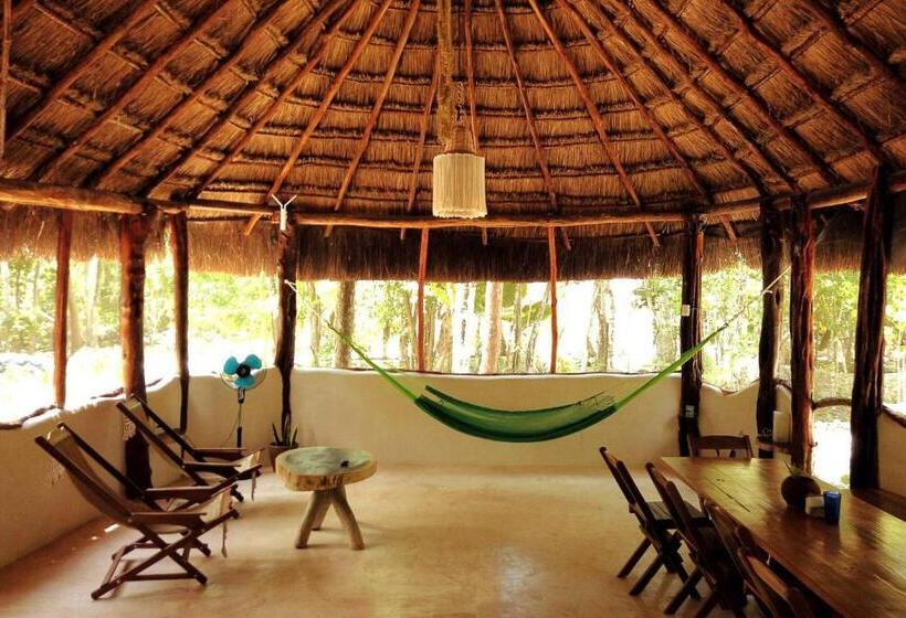 פנסיון Room In Lodge Eco Luxe Mayan Dome Cenote