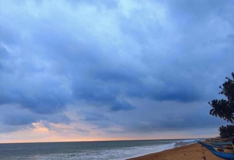 膳宿费 Villa Mare