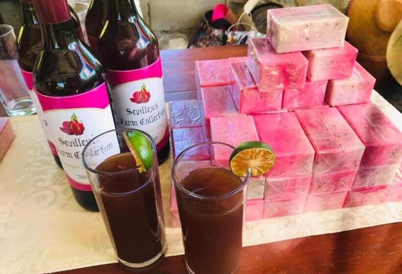 استراحتگاه Sevilleja S Farm Danglas Abra