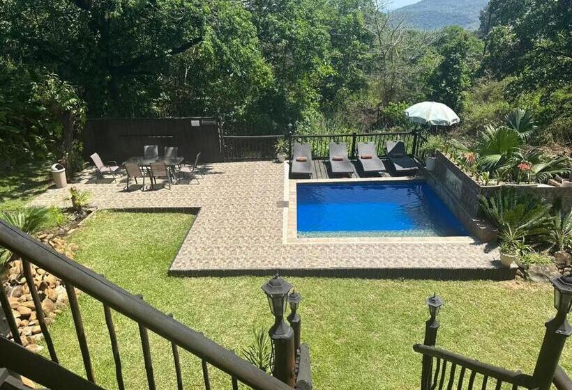 Safari Bed & Breakfast