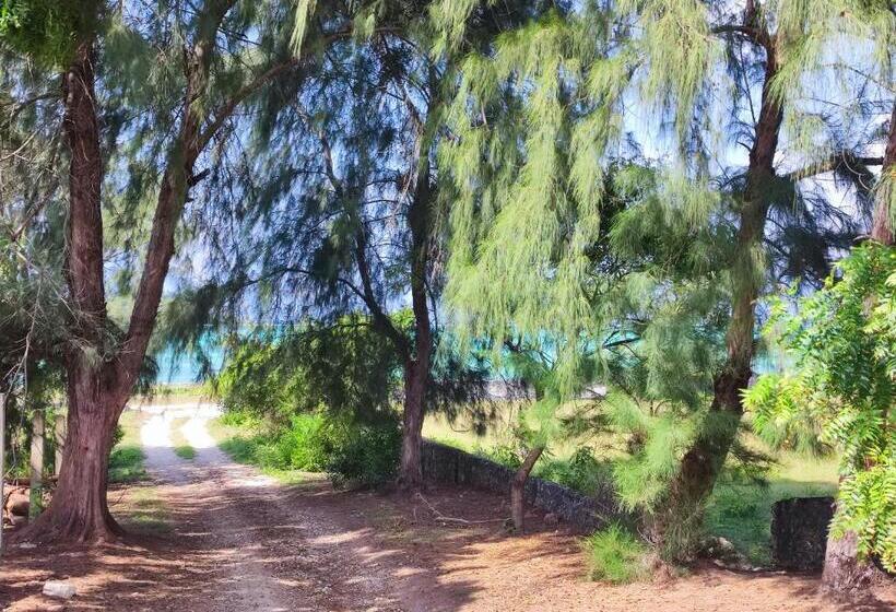 Secret Place Hotel By Hello Tanzania Tours& Safaris