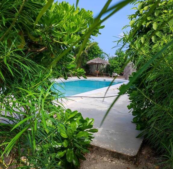 Secret Place Hotel By Hello Tanzania Tours& Safaris