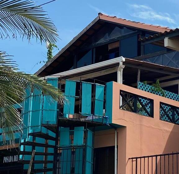 Uverito Sand Dollar B&b