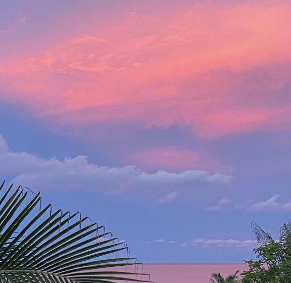 Uverito Sand Dollar B&b