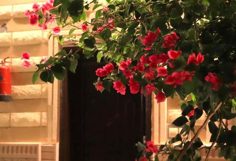 منتجع شاطئ العرب الرايس