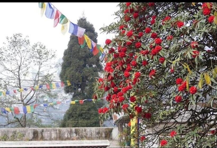 호스텔 Pathi Bunkers