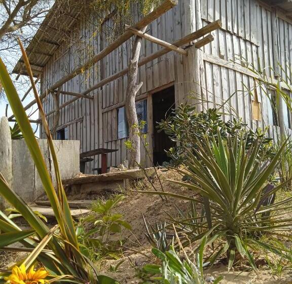 هاستل Vida Playera