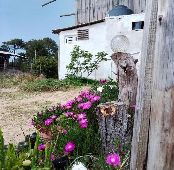 ユースホステル Vida Playera