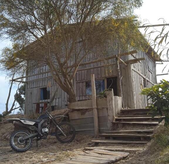 هاستل Vida Playera