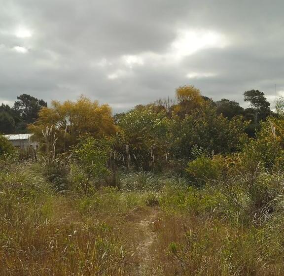 Общежитие Vida Playera