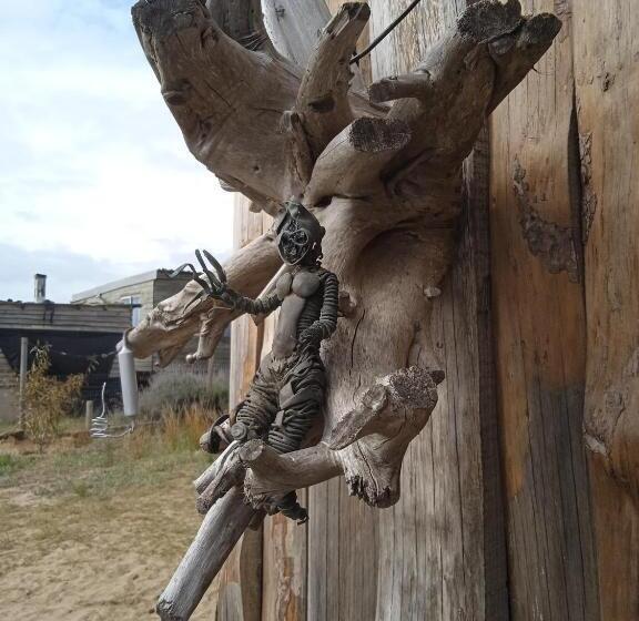 هاستل Vida Playera