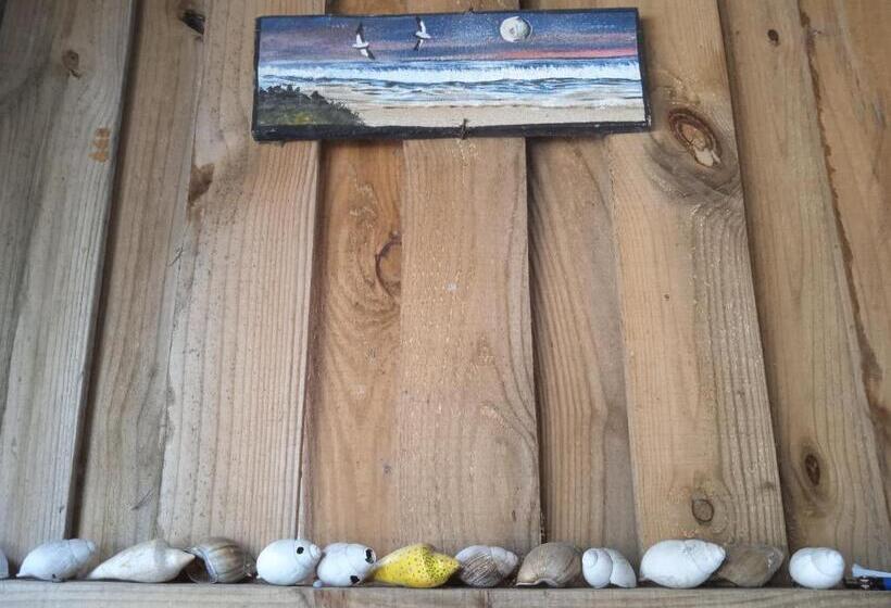 ユースホステル Vida Playera