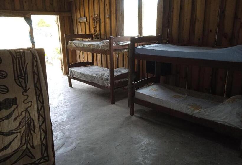 Общежитие Vida Playera