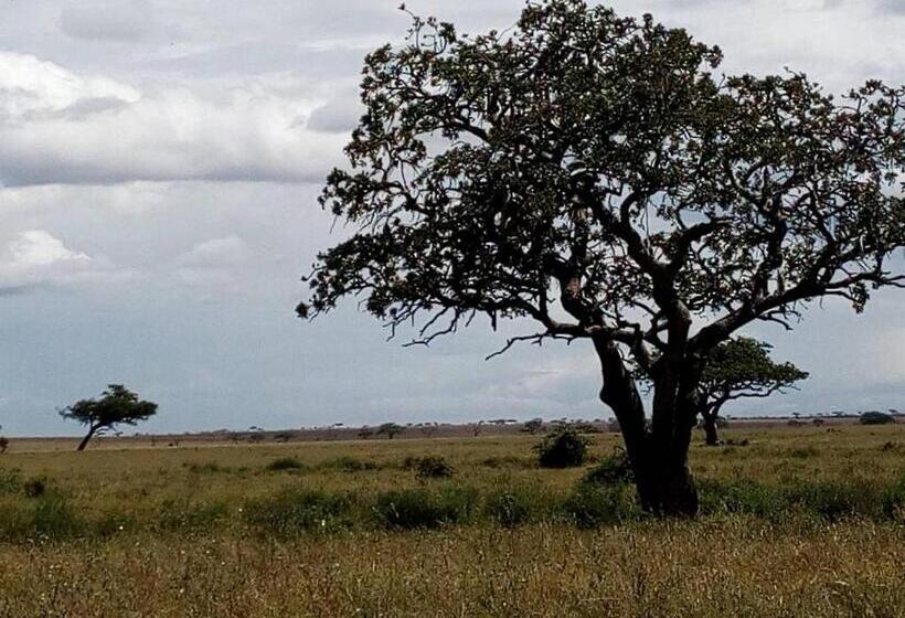 住宿加早餐 Maneno House