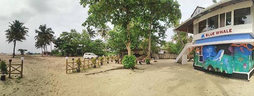 住宿加早餐 Marari Blue Whale Beach House