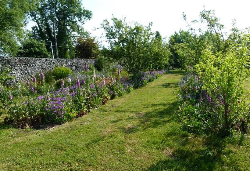 Bed and Breakfast The Great Hall