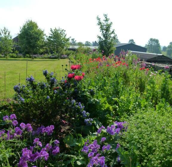 Bed and Breakfast The Great Hall