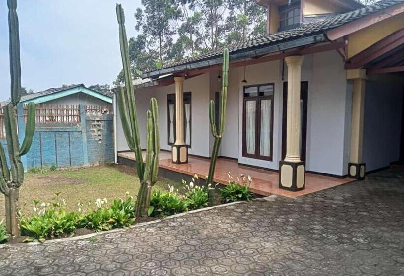 Bed and Breakfast Villa Matahari