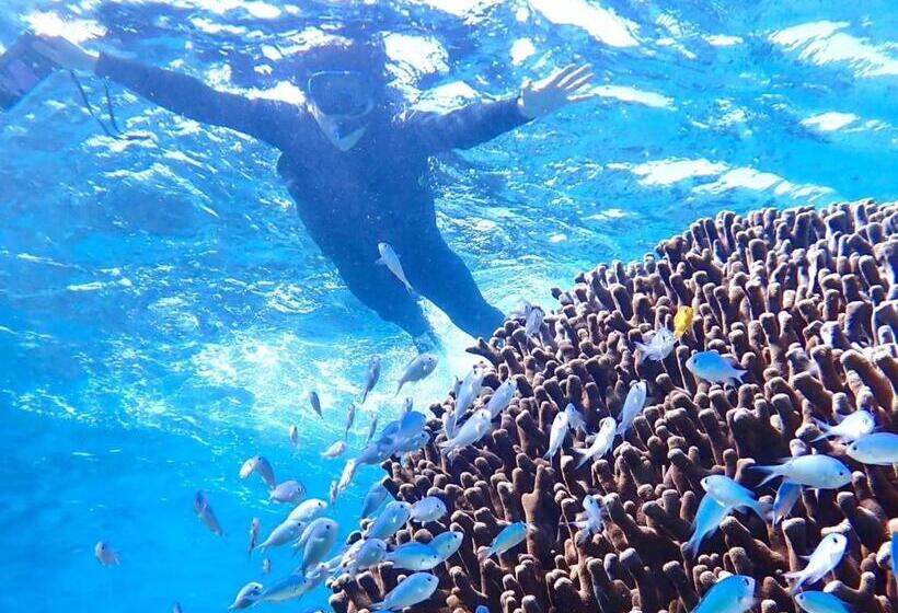 酒店 与那国むんぶステイ空港前