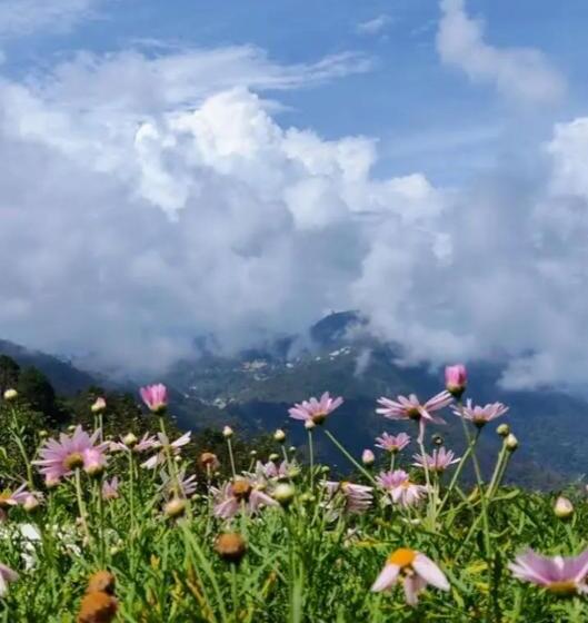 בית מלון כפרי Bhajan Palace