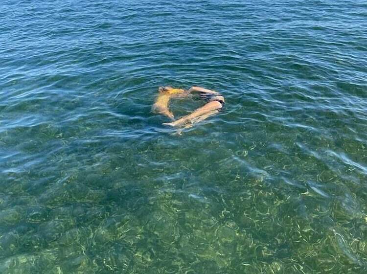 호텔 Conch Club Cottage