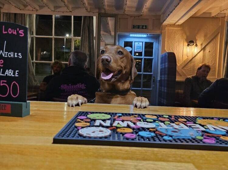 Отель Dog And Partridge Inn