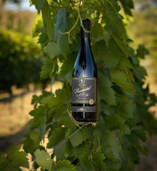 فندق Domiya Estate Ltd