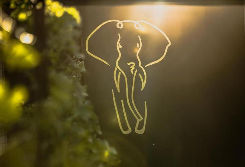 בית מלון כפרי Domiya Estate Ltd